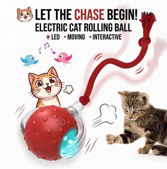 Electric Cat Rolling Ball – Interactive LED Rolling Toy with Teaser Tail Noorvellaa