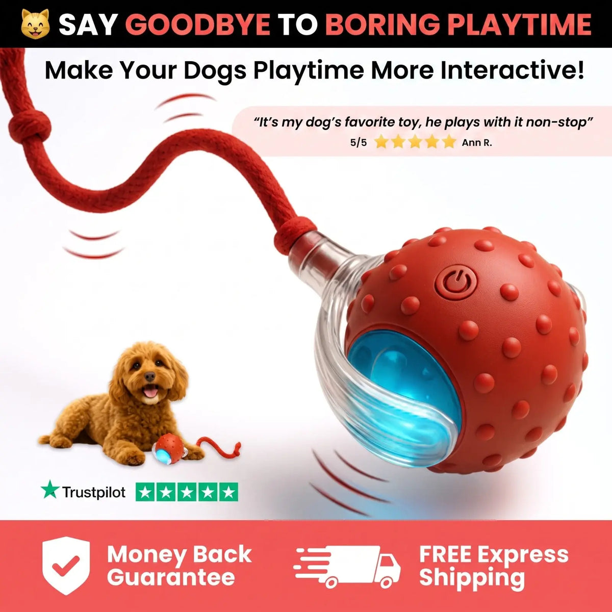 Electric Cat Rolling Ball – Interactive LED Rolling Toy with Teaser Tail Noorvellaa