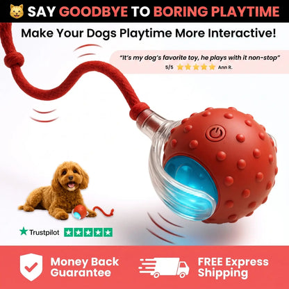 Electric Cat Rolling Ball – Interactive LED Rolling Toy with Teaser Tail Noorvellaa